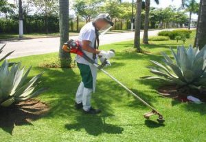 Jardinagem em condomínios pode ser mais fácil do que você imagina