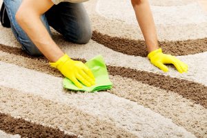 Aprenda como limpar carpetes!